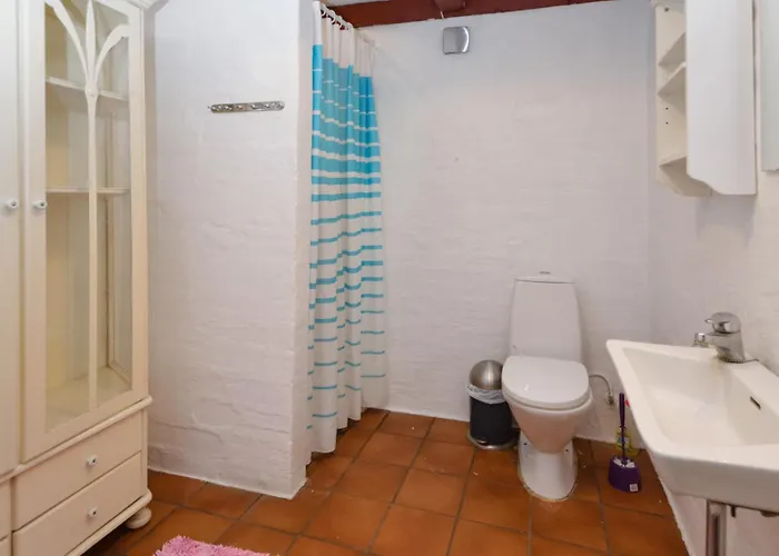 Birknaesgard Holiday home Ostbirk